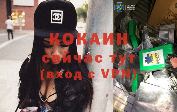 дмт Аркадак