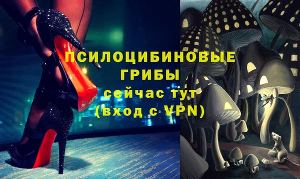 дмт Аркадак